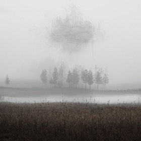 Stilla : Vårens Sista Onskan